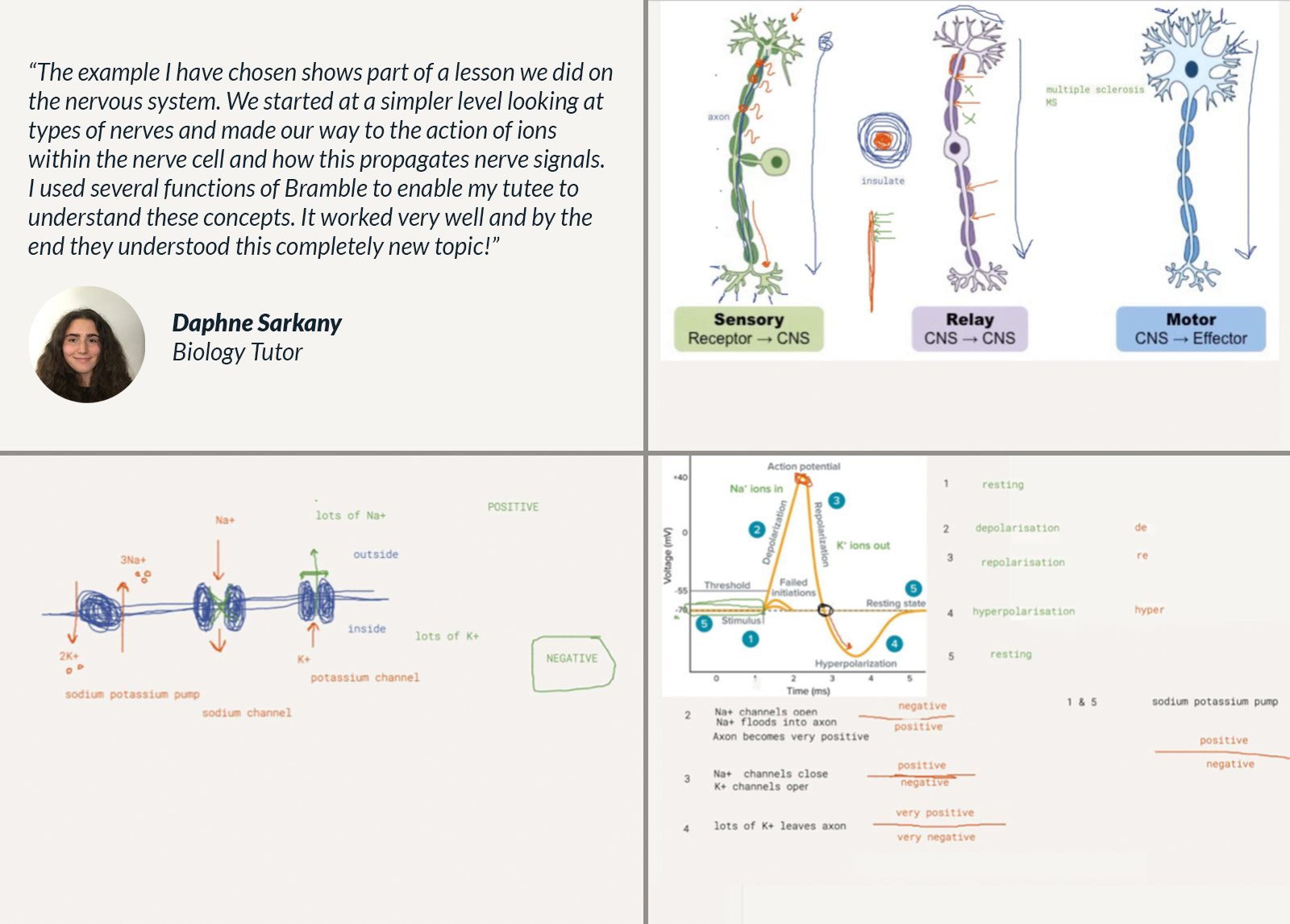 image showing different examples of tutoring Biology lessons online.