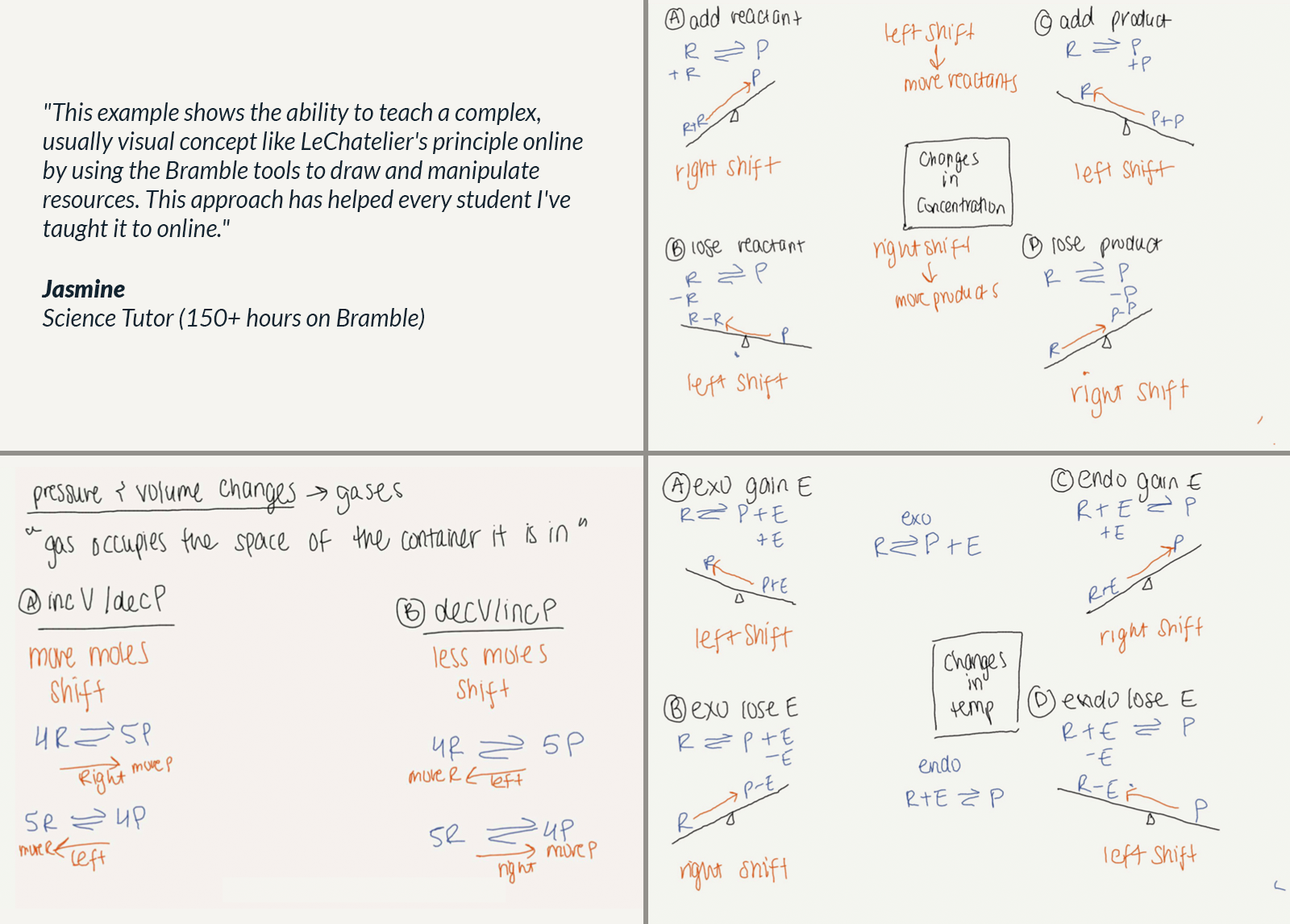 image showing different example pages of LeChatelier's principle by online tutor, Jasmine.