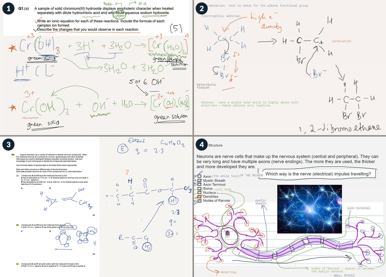 image showing different example pages from online science tutors on Bramble.