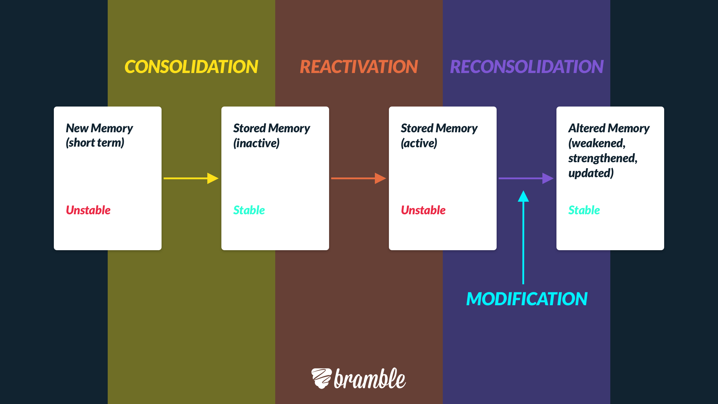diagram showing process of memory reconsolidation